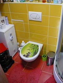 Uhelna-43-022-koupelna-WC.jpeg