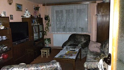 IMG-20241118-215351.jpeg
