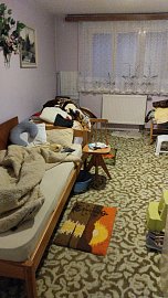 IMG-20241119-162057.jpeg