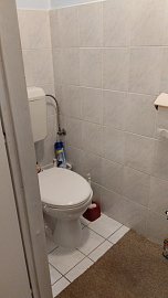 IMG-20241119-162825.jpeg