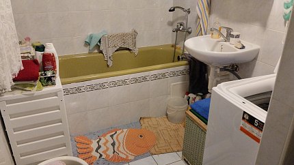 IMG-20241119-162939.jpeg