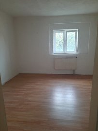 20231013-155614-e840742c.jpeg