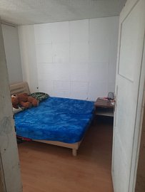20231013-155908-332688d0.jpeg