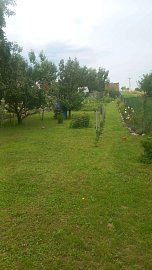435952-whatsapp-image-2025-08-01-at-15.56.26.jpeg