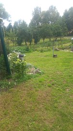 804530-whatsapp-image-2025-08-01-at-15.59.03.jpeg