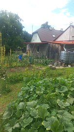 Kopie-souboru-452170-whatsapp-image-2025-08-01-at-15.59.40.jpeg