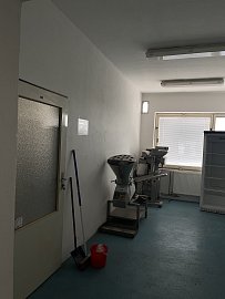 Kopie-souboru-IMG-9836.jpeg