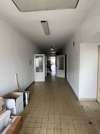 Kopie-souboru-IMG-9834.jpeg